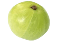 Amla